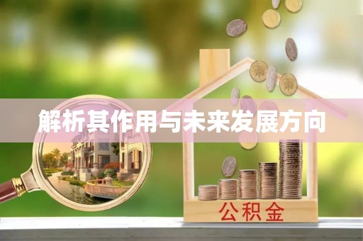 瑞丽解析其作用与未来发展方向