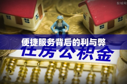 瑞丽便捷服务背后的利与弊