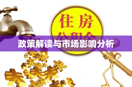 瑞丽政策解读与市场影响分析