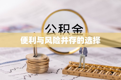 瑞丽便利与风险并存的选择