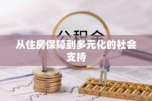瑞丽从住房保障到多元化的社会支持