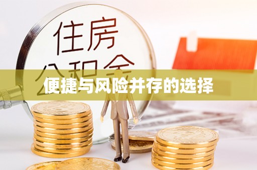 瑞丽便捷与风险并存的选择