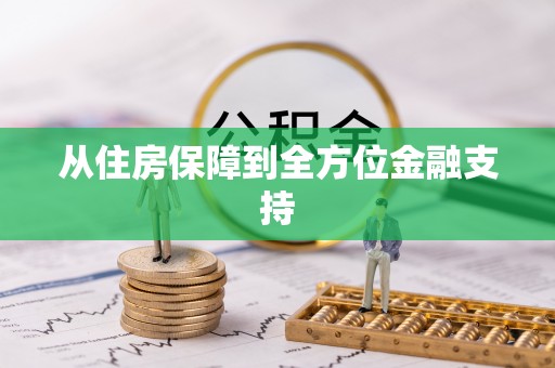 瑞丽从住房保障到全方位金融支持