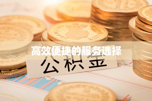 瑞丽高效便捷的服务选择