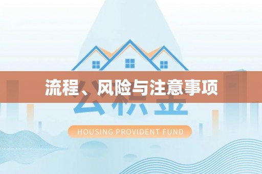 瑞丽流程、风险与注意事项