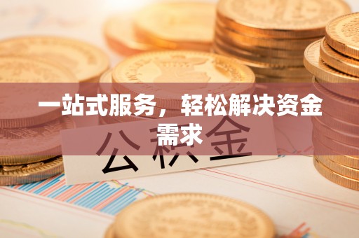 瑞丽一站式服务，轻松解决资金需求