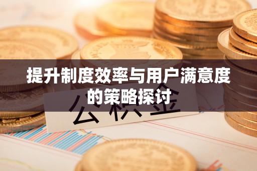 瑞丽提升制度效率与用户满意度的策略探讨