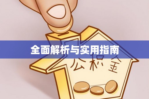 瑞丽全面解析与实用指南
