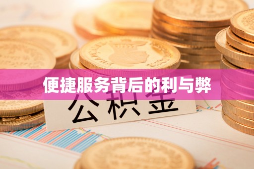 瑞丽便捷服务背后的利与弊
