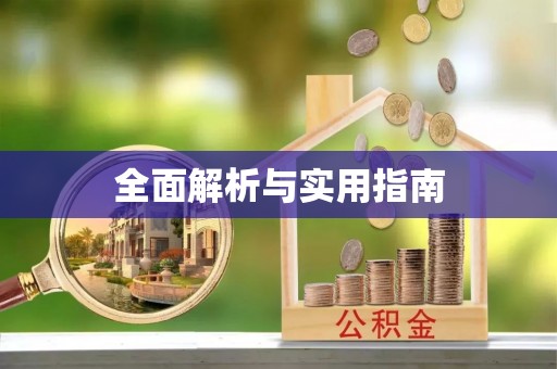 瑞丽全面解析与实用指南
