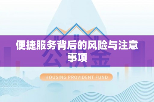 瑞丽便捷服务背后的风险与注意事项
