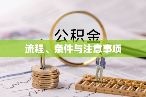 瑞丽流程、条件与注意事项