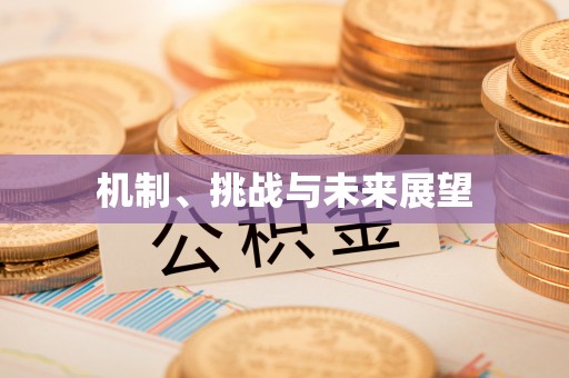 瑞丽机制、挑战与未来展望